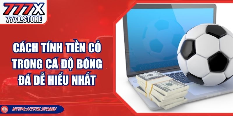 Cách Tính Tiền Cỏ Trong Cá Độ Bóng Đá Dễ Hiểu Nhất