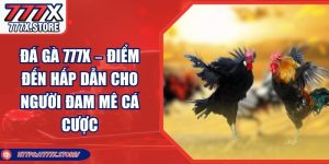 Đá Gà 777X – Điểm Đến Hấp Dẫn Cho Người Đam Mê Cá Cược