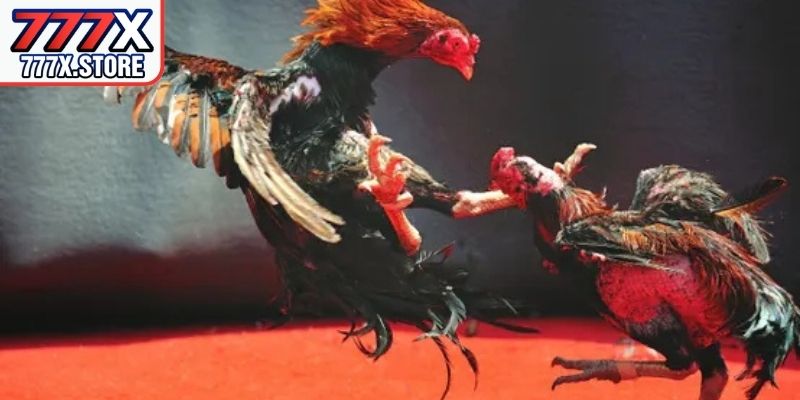 Bố cục trang hiển thị rõ ràng giúp người dùng thao tác nhanh